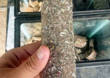 Komunitas Tionghoa Kota Bandung Buat Inovasi Pengolahan Sampah dengan Alat Nawasena