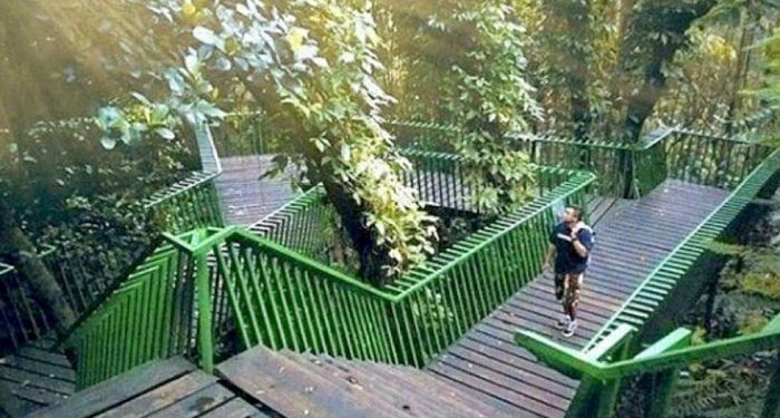 Menikmati Suasana Segar Hutan di Jantung Kota Bandung