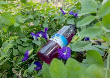 Tetenong: Produk Lokal Khas Kampung Wisata Kelurahan Binong Kota Bandung