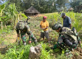 Galakkan Ketahanan Pangan, Satgas 323 Buaya Putih Edukasi Cara Berkebun