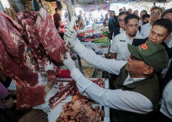Jelang Hari Raya Iduladha 2024, Gin Gin: Harga Beberapa Komoditas Pangan Strategis di Kota Bandung Mengalami Fluktuasi