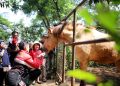 Sesuai Aturan, Pemkot Bandung Terus Upayakan Pengamanan Aset Kebun Binatang