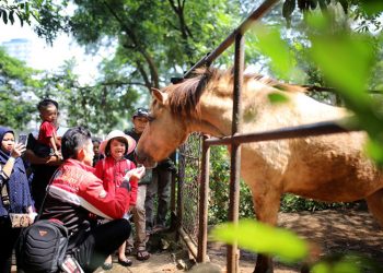 Sesuai Aturan, Pemkot Bandung Terus Upayakan Pengamanan Aset Kebun Binatang