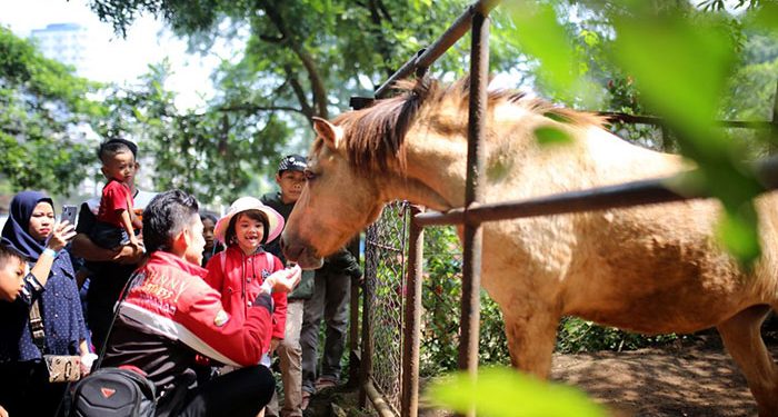 Sesuai Aturan, Pemkot Bandung Terus Upayakan Pengamanan Aset Kebun Binatang