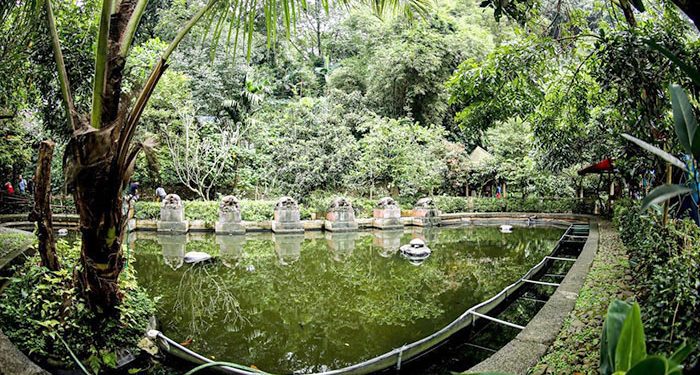 Jejak Sejarah Babakan Siliwangi, Ruang Hijau yang Berharga di Tengah Kota Bandung