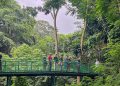 Jadi “Sultan” di Forest Walk Babakan Siliwangi: Belajar Flora Fauna dan Berpetualang di Hutan Kota