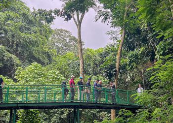 Jadi “Sultan” di Forest Walk Babakan Siliwangi: Belajar Flora Fauna dan Berpetualang di Hutan Kota