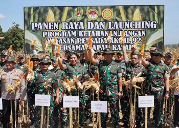 Dorong Ketahanan Pangan: TNI AD Panen Raya Jagung di Majalengka