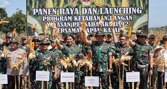Dorong Ketahanan Pangan: TNI AD Panen Raya Jagung di Majalengka