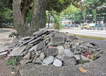 Kondisi Terkini Taman Tegallega Usai Tren Koin Jagat