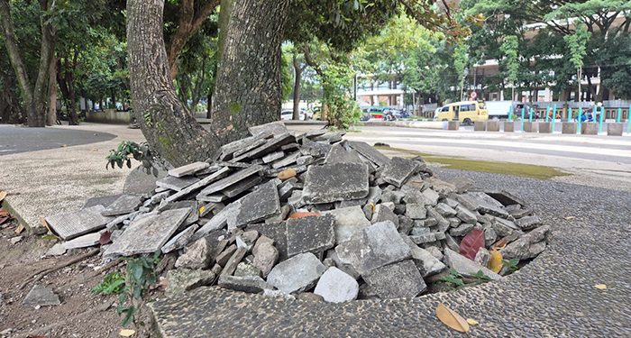 Kondisi Terkini Taman Tegallega Usai Tren Koin Jagat