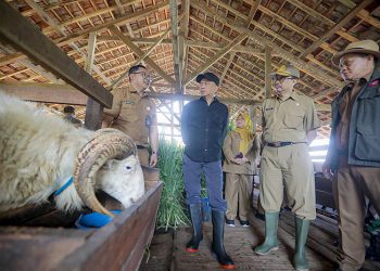 A. Koswara, Optimis Pengembangan Ketahanan Pangan di Kota Bandung Bisa Unggul