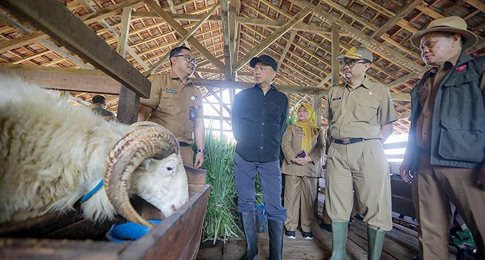 A. Koswara, Optimis Pengembangan Ketahanan Pangan di Kota Bandung Bisa Unggul