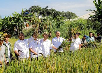 Toni Wijaya: Kota Bandung Siap Wujudkan Ketahanan Pangan