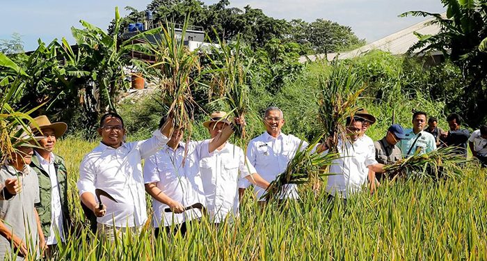 Toni Wijaya: Kota Bandung Siap Wujudkan Ketahanan Pangan