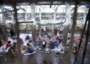 Pemotongan Qurban Lancar dan Sehat, Kesadaran Masyarakat Meningkat