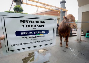 Muhammad Farhan Pastikan Pelaksanaan Ibadah Qurban di Kota Bandung Berjalan Tertib