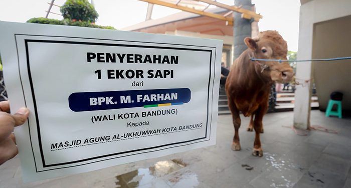 Muhammad Farhan Pastikan Pelaksanaan Ibadah Qurban di Kota Bandung Berjalan Tertib