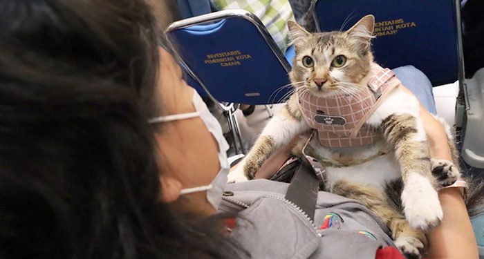 Penanggulangan Penyakit Rabies Perlu Dukungan Seluruh Masyarakat, Pemkot Cimahi Peringati WRD 2025