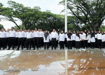 PPPK Paruh Waktu, Solusi Inklusif untuk Pegawai Non-ASN