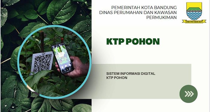 DPKP Mulai Terapkan Program KTP Pohon