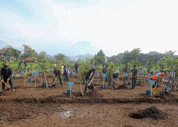 Bandung Dihuni 15 Ribu Jiwa per Km², Farhan Ingatkan Ancaman Hilangnya Ruang Pohon