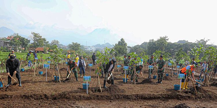 Bandung Dihuni 15 Ribu Jiwa per Km², Farhan Ingatkan Ancaman Hilangnya Ruang Pohon