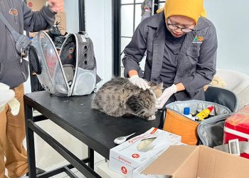 Bangsawan Hadir di Ciumbuleuit, DKPP Bandung Sediakan Vaksin Rabies dan Sterilisasi Gratis