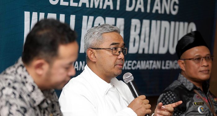 Pemkot Bandung Libatkan Tiga OPD Kaji Pohon Rawan di Jalan Otista