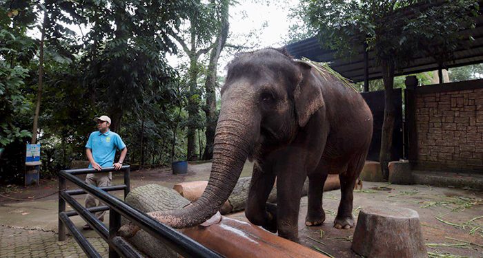 Pemkot Bandung Kaji Masa Depan Kebun Binatang, Belum Ada Keputusan Final