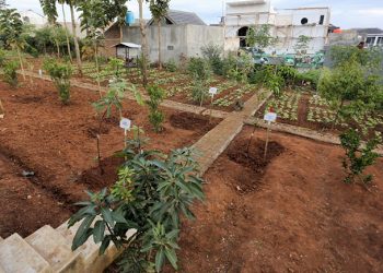 Pemkot Bandung Hitung Ulang Koefisien RTH Sesuai Indeks Biru Hijau Indonesia