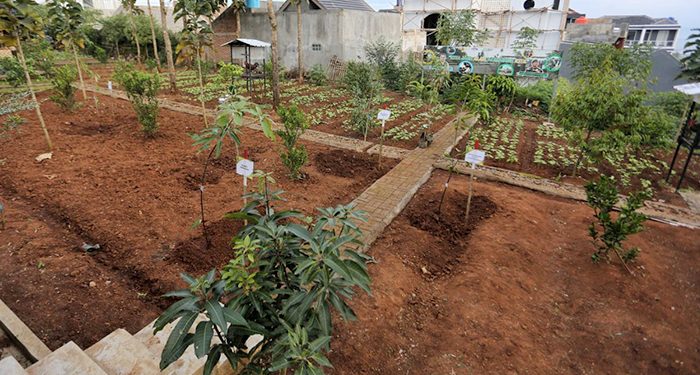 Pemkot Bandung Hitung Ulang Koefisien RTH Sesuai Indeks Biru Hijau Indonesia