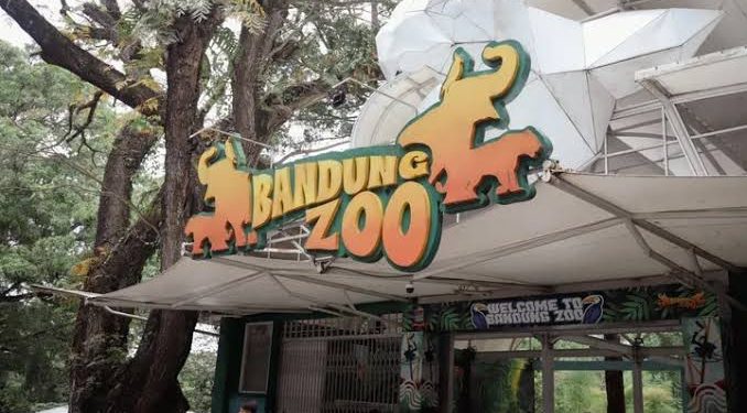 Serikat Pekerja Bandung Zoo Apresiasi Skema Walikota
