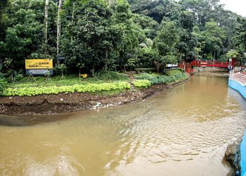 Sampah di Sungai Dominan, 300 Meter Kubik Diangkut Sehari