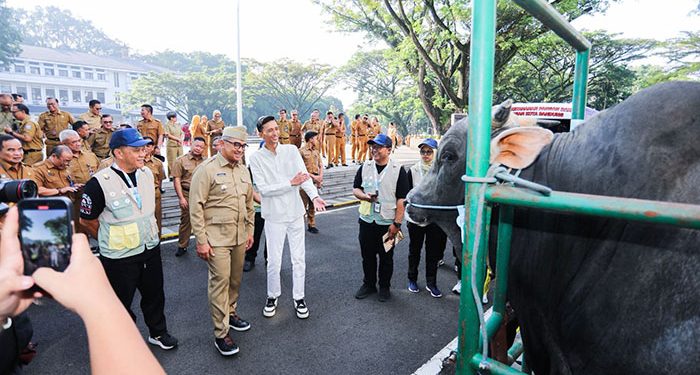 Pemkot Bandung Terjunkan 184 Petugas Periksa Kesehatan Hewan Kurban