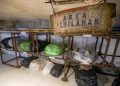PVJ Bandung Olah 2 Ton Sampah Organik per Hari dengan Sistem Maggot