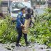 Pemkot Bandung Sambut Kebijakan Jabar soal Larangan Pangkas Pohon