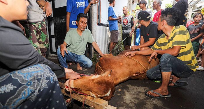 Wali Kota Bandung Muhammad Farhan Serahkan Sapi Kurban untuk Warga Cicadas