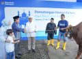 BRI Group Salurkan Lebih dari 5.000 Hewan Qurban untuk Masyarakat di Seluruh Indonesia