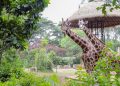 Bandung Zoo Segera Punya Pengelola Baru, Farhan Tegaskan Proses Tender Terbuka