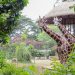 Bandung Zoo Segera Punya Pengelola Baru, Farhan Tegaskan Proses Tender Terbuka