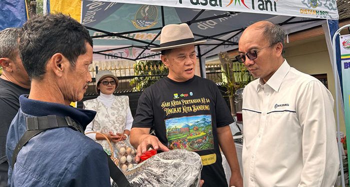 Musim Kemarau Mulai Terasa, DKPP Bandung Tingkatkan Mitigasi Kekeringan Lahan Pertanian