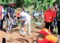 Pemkot Bandung Percepat Penghijauan Lewat Program Rindu Rindang, Cegah Krisis Air dan Bencana