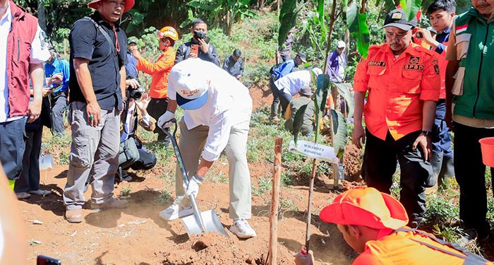 Pemkot Bandung Percepat Penghijauan Lewat Program Rindu Rindang, Cegah Krisis Air dan Bencana