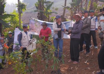 Universitas Sangga Buana Donasikan 1.000 Pohon melalui USB Green Action