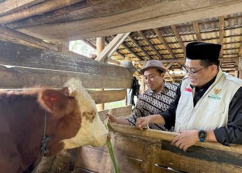 BAZNAS Jabar Salurkan Daging dari Pengguna QuranBest untuk Warga Pelosok Tasikmalaya