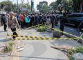 Kasus Penebangan Pohon di Jalan Riau Naik ke Ranah Pidana, Farhan Usut Izin Usaha hingga Dugaan Keterlibatan ASN