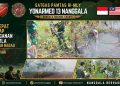 Prajurit Satgas Pamtas dan Warga Padamkan Karhutla di Perbatasan Kapuas Hulu