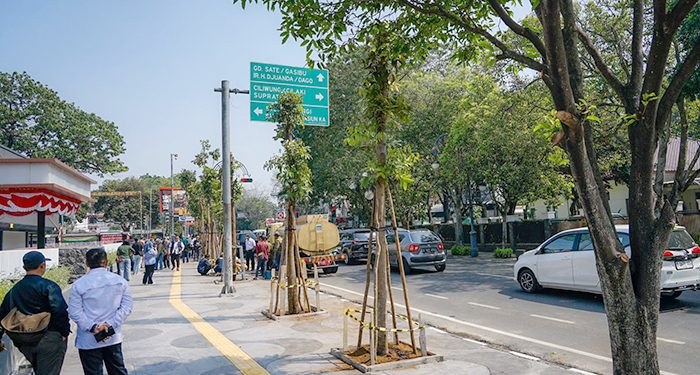 Pemkot Bandung Tegaskan Sanksi Pelanggaran Pemotongan Pohon di Jalan Riau
