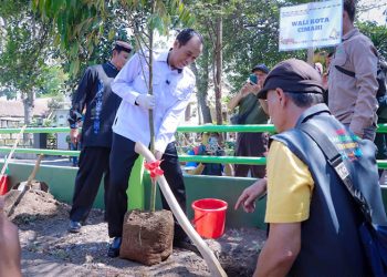 Underpass Gatot Subroto Berdampak pada Pohon, Pemkot Cimahi Siapkan 74 Pohon Pengganti